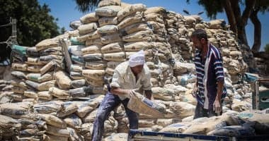 Cement Prices Stable on August 6 2026