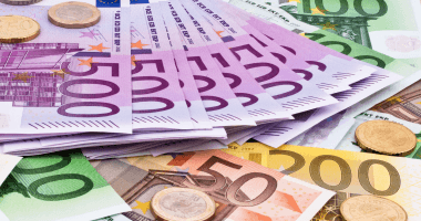 Euro falls against Egyptian pound on Aug 11
