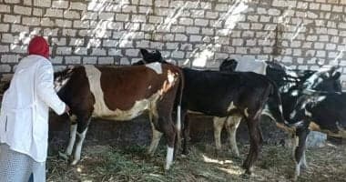 إطلاق قافلة بيطرية مجانية في قرية الماى