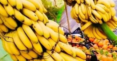 أسعار الفاكهة في سوهاج اليوم