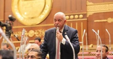 حازم الجندي: البريكس يدعم الاقتصاد المصري