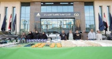 Sarah Khalifa's Fall: From Beginning to Death