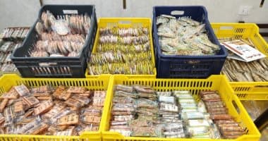 Ministry of Supply Announces Eid Sweets Prices