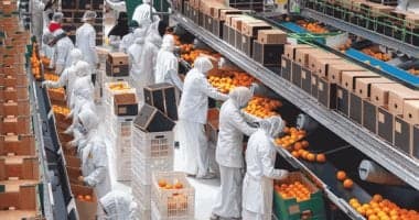 صادرات مصر ترتفع في مايو إلى 4.5 مليار دولار