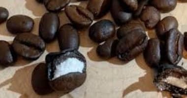Unusual Cocaine Smuggling Methods