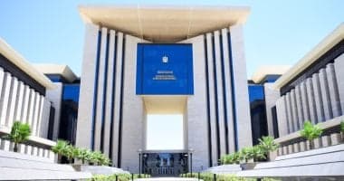 مصر و7 دول تدين انتهاكات إسرائيل في غزة