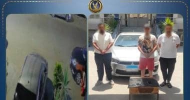 Citizen damages ex-wife's car in family dispute