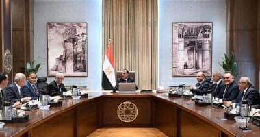 PM assesses Sinai investment efforts
