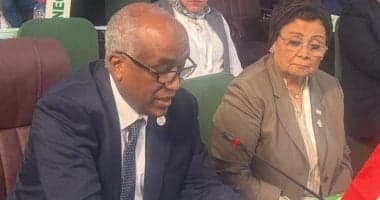 Egypt's Foreign Deputy at Africa Health Summit
