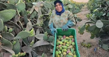 رحلة أم إسلام في مزارع الشرقية