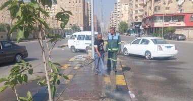 تحسين نظافة شارع ترسا وزراعة الجزيرة بالجيزة
