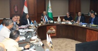 الجيزة تحيل عقارات أرض اللواء للجان السقوط