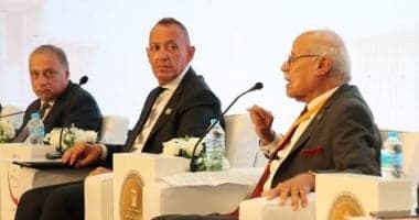 Arab party leader unveils three initiatives for Egyptians abroad