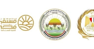 Egypt Offers Free Market Sugar at 25 Pounds