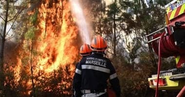 Algerian Fires Under Control