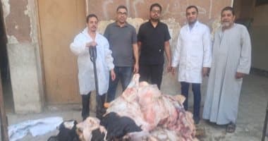 Sohag Veterinary Seizes Unfit Meat