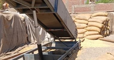 Wheat shipment of 531,872 tons to silos in and outside Aswan