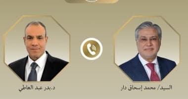 وزير الخارجية يناقش خفض التصعيد مع نظيره الباكستاني