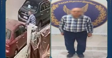 Interior Ministry arrests Sohag car thief