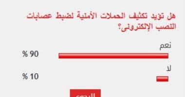 Majority support tougher cyber scam measures