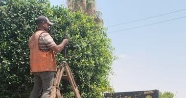 تطوير حدائق وميادين الإسماعيلية