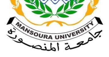 Department of Civil Engineering at Mansoura University