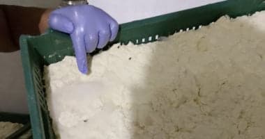 مصنع جبن موتزاريلا يستخدم الصودا الكاوية في الفيوم