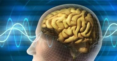 عادات يومية لتعزيز الذاكرة وتقليل الخرف