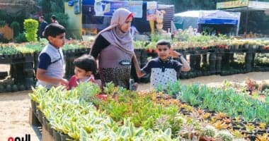 مقدمات الخريف وتساوي النهار والليل