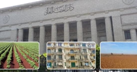 النقض: بيع حصة مفرزة من الشائع جائز بدون قسمة