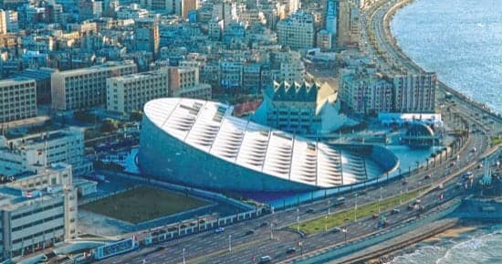 Alexandria Library Turns 24