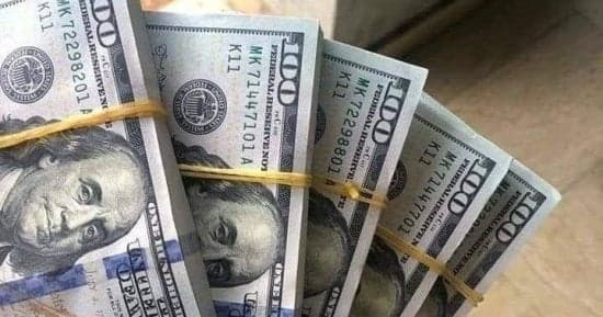 Bank of Cairo dollar at 50.95 pounds