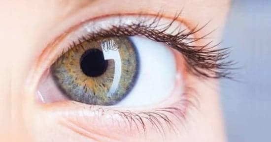 Gene therapy partially restores vision in six patients