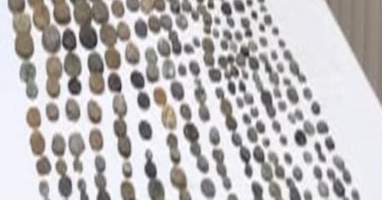 Art theft penalties include life imprisonment and fines