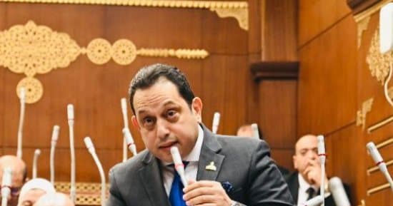 Deputy Mohamed El-Gendy urges import reordering and local industry boost