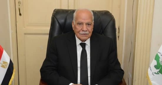 النائب أبو العلا يؤكد أهمية بناء الدولة