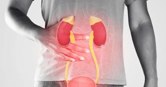 Foamy urine indicating health issues