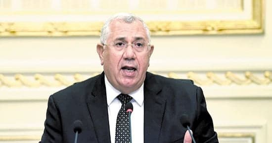 Al-Qasir: Egypt-Saudi ties vital to Arab security