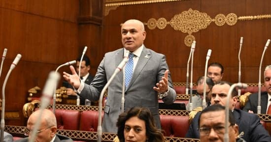 نائب شعبان رأفت يركز على تعاون مصر وقبرص لتعزيز شرق المتوسط