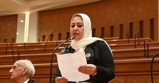 Sahar Sedky on Social Media Risks