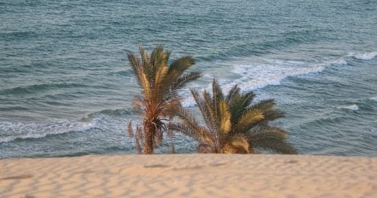 Cairo forecast: rain, wind, thunderstorms
