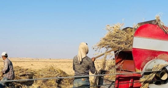 Evolution of wheat storage methods
