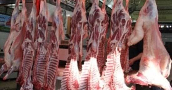 أهداف مشروع البتلو في 2026/2027