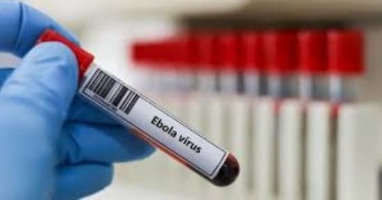 WHO alerts on Ebola spread in Congo
