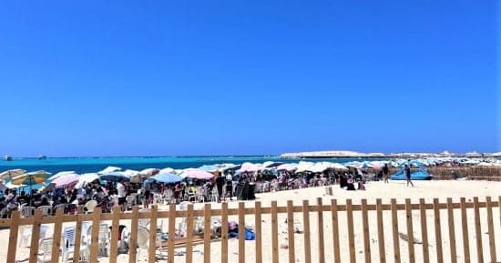 الطقس اليوم حار ورطب مع رياح وشبورة في القاهرة