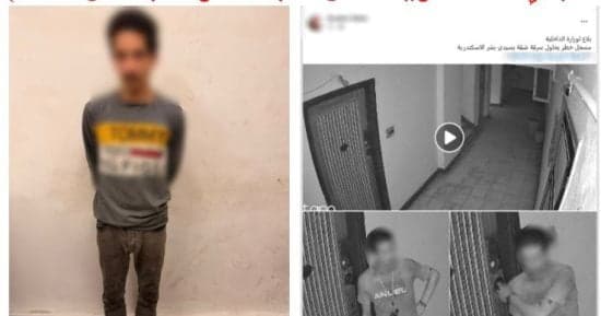 Interior Ministry detains door handle thief in Alexandria