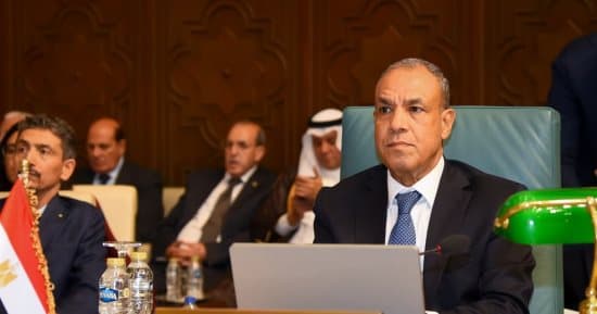 وزير الخارجية يتحدث عن أهمية تعزيز الأمن العربي