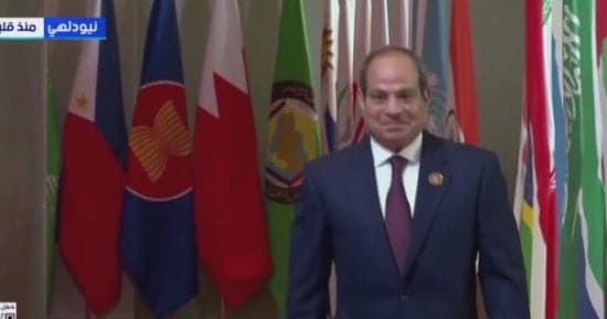 President Sisi views BRICS as a more capable economic system