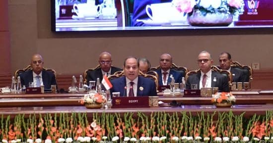 Shura Member: President's BRICS Role Boosts Investment