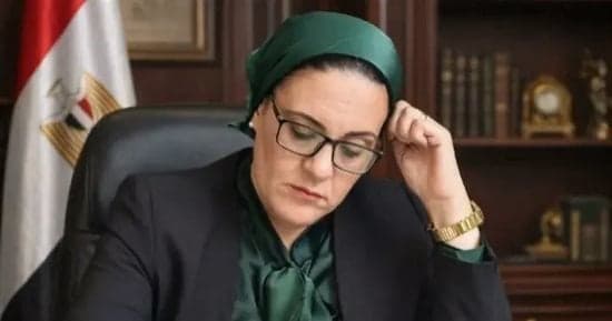 Dalia Al-Attarbi: Arab stability boost from Egypt-Saudi summit